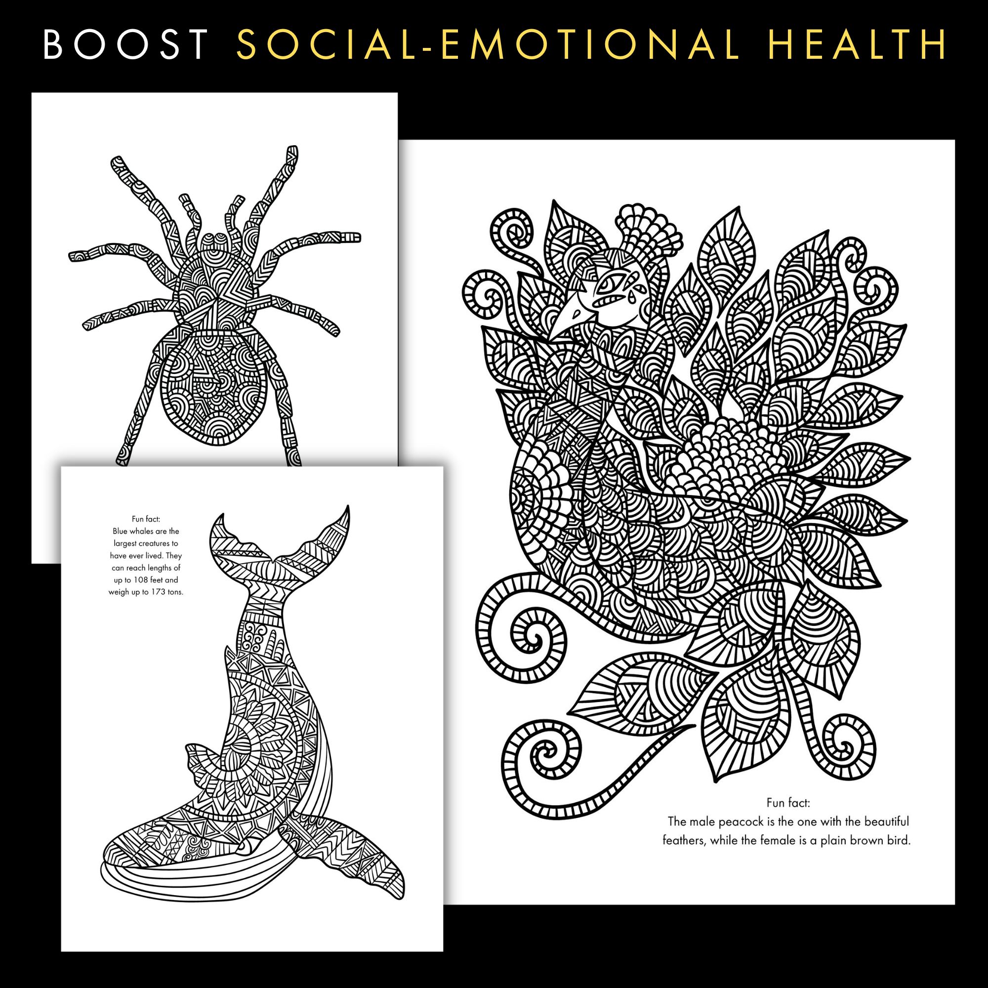 Animal mandala coloring pages mindfulness zentangle sel coloring sheets â laura randazzo â solutions for the secondary classroom
