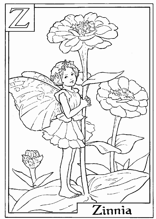 Zinnia coloring pages
