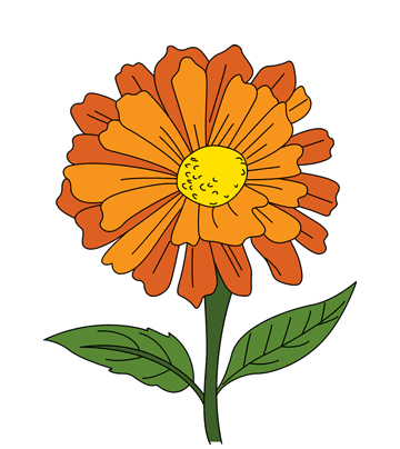 Zinnia coloring pages for kids to color and print