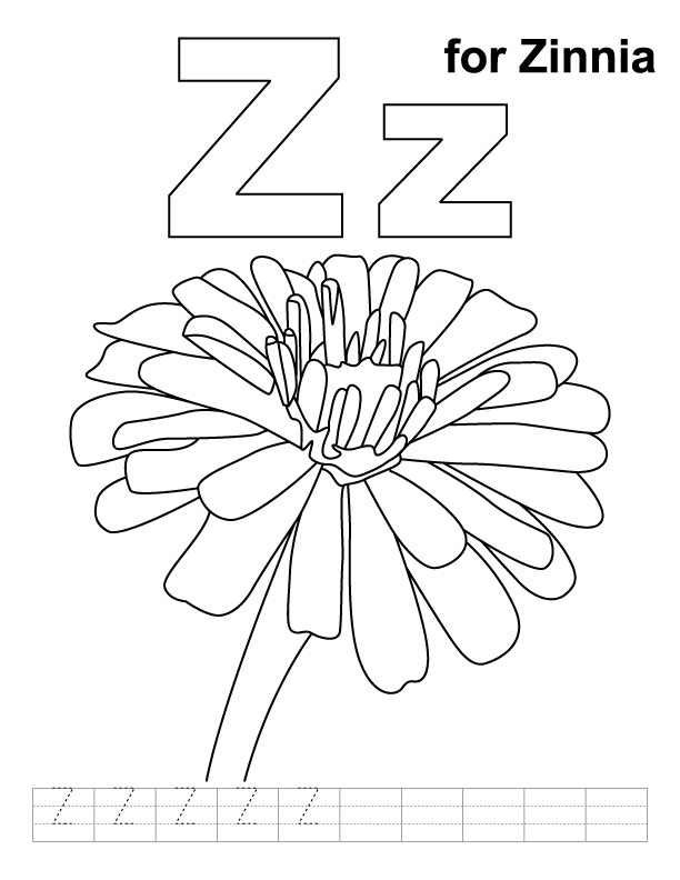 Z for zinnia coloring page with handwriting practice download free z for zinnia coloring page with handwriting practice for kids best coloring pages