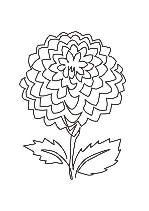 Coloring pages dahlia coloring pages printable