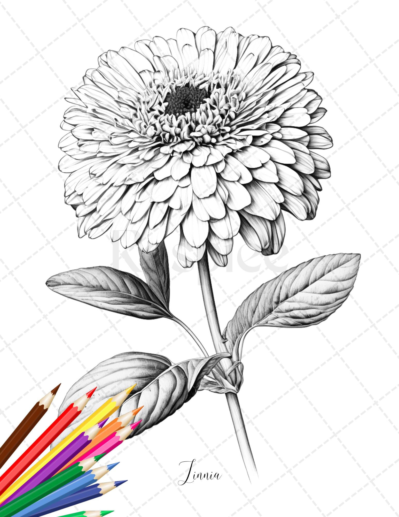 Botanical flowers printable coloring pages for adults floral grays â coloring