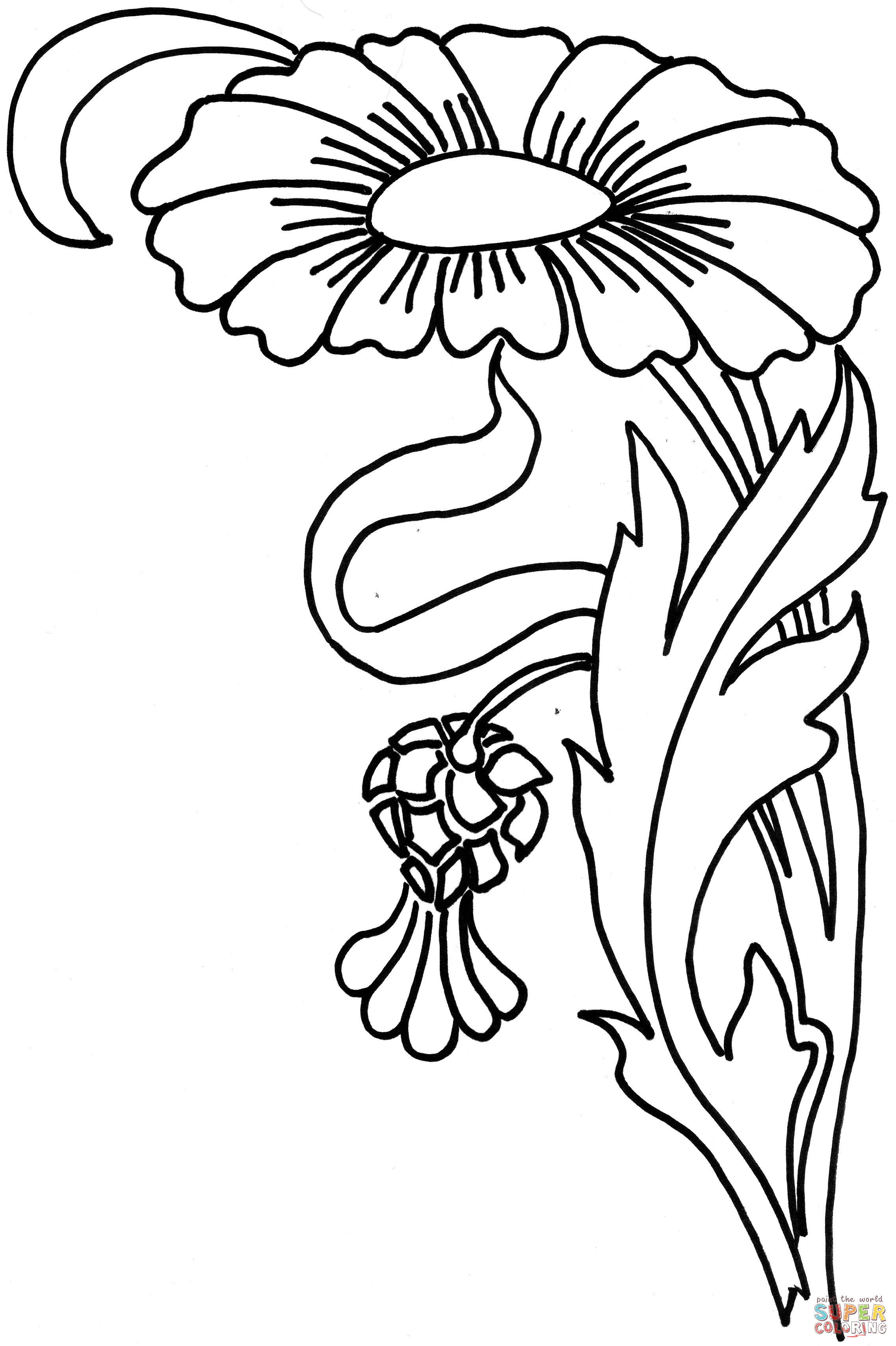 Zinnia flower coloring page free printable coloring pages