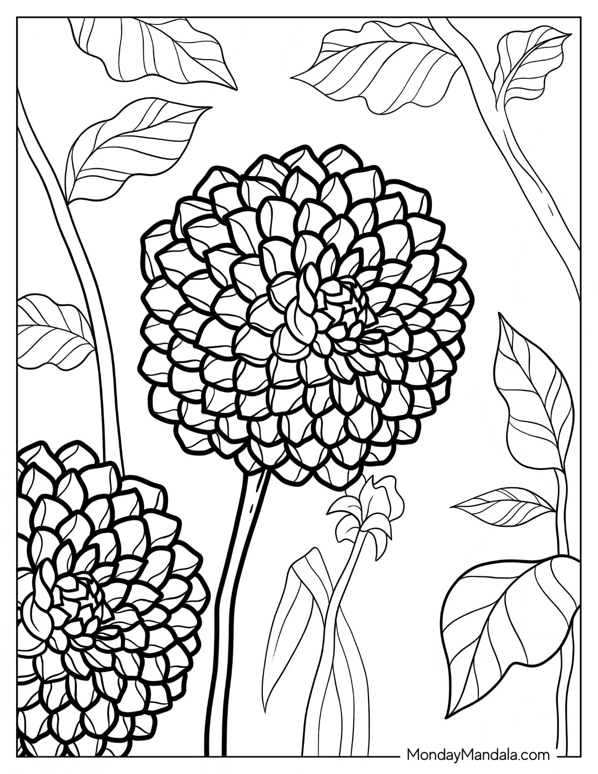 Flower coloring pages free pdf printables