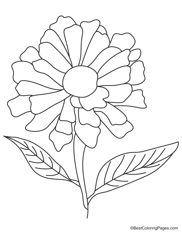 Yellow zinnia coloring page download free yellow zinnia coloring page for kids best coloring pages