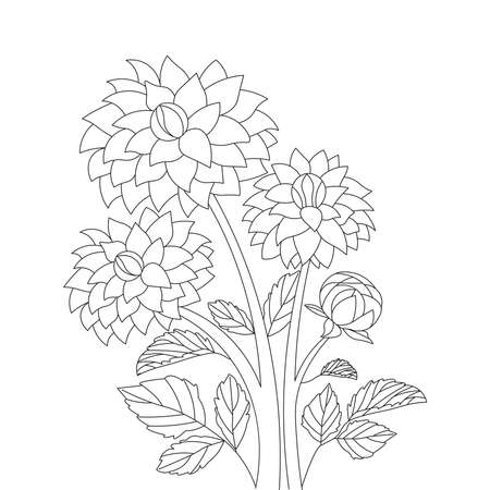Dahlia flower illustration with pencil stroke in doodle art design of coloring page design dahlia flower black and white line art garden dahlia flower illustration with leaves