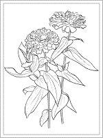 Flowers coloring pages and printable activities