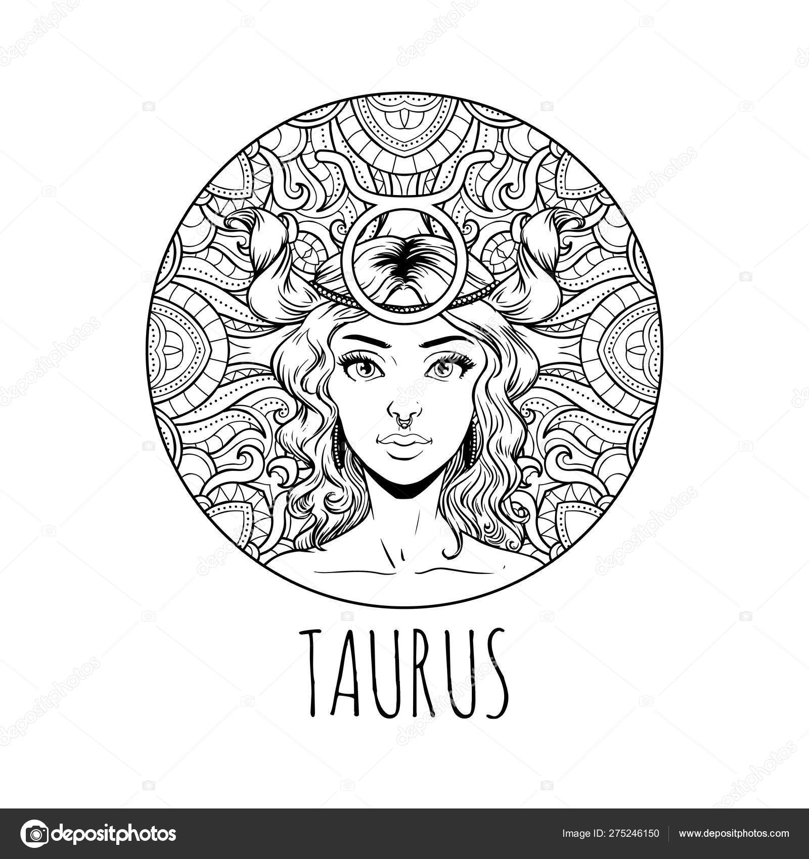 Taurus zodiac sign artwork adult coloring book page beautiful stock vector by littlepaw