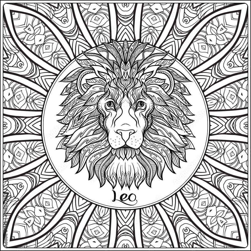 Leo lion decorative zodiac sign on pattern background outline hand drawing good for coloring page for the adult coloring book vector illustration vector