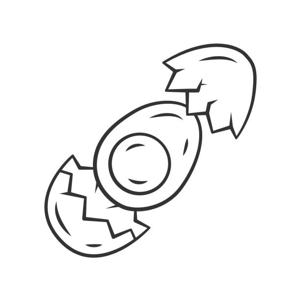 Egg linear icon salad ingredient thin line illustration high protein product contour symbol hard boiled chicken egg half with broken eggshell vector isolated outline drawing editable stroke stock illustration