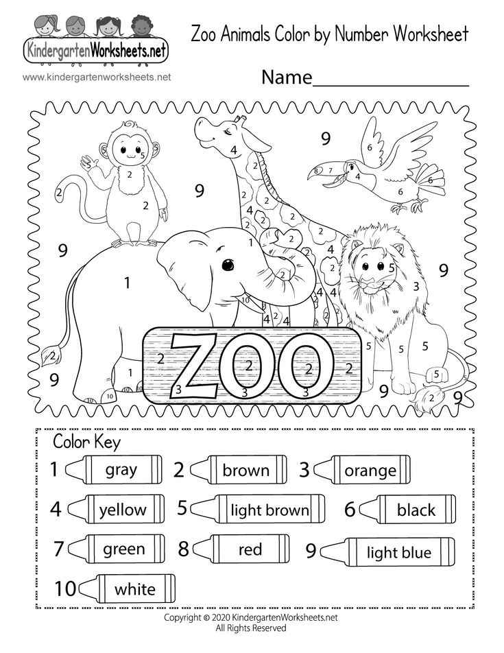 Kindergarten zoo color by number worksheet animal worksheets kindergarten worksheets color worksheets