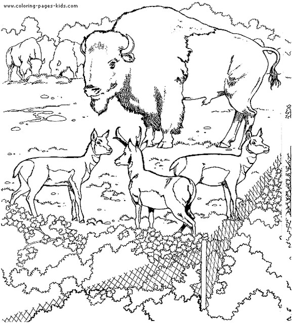 Zoo
