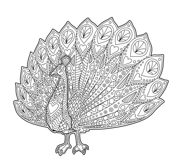 Zoo animal coloring page stock photos pictures royalty