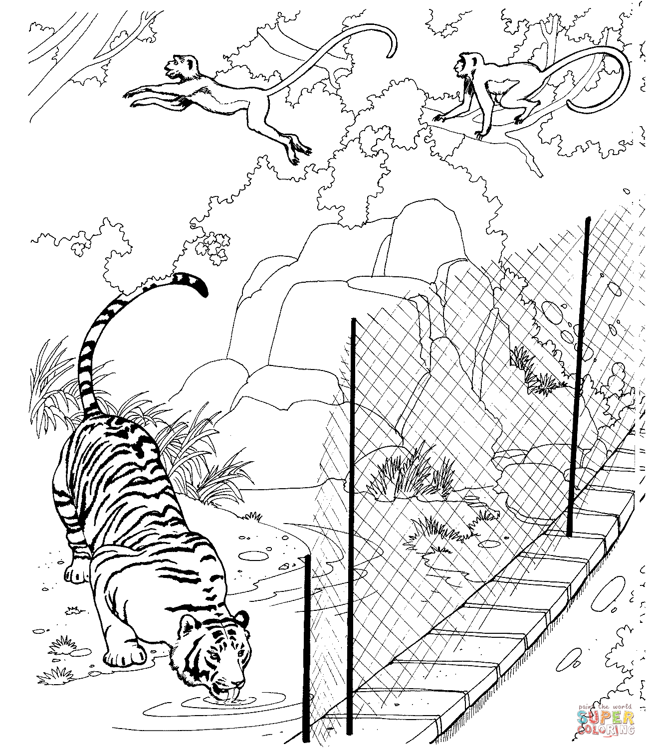 Tiger and rhesus macaques in a zoo coloring page free printable coloring pages