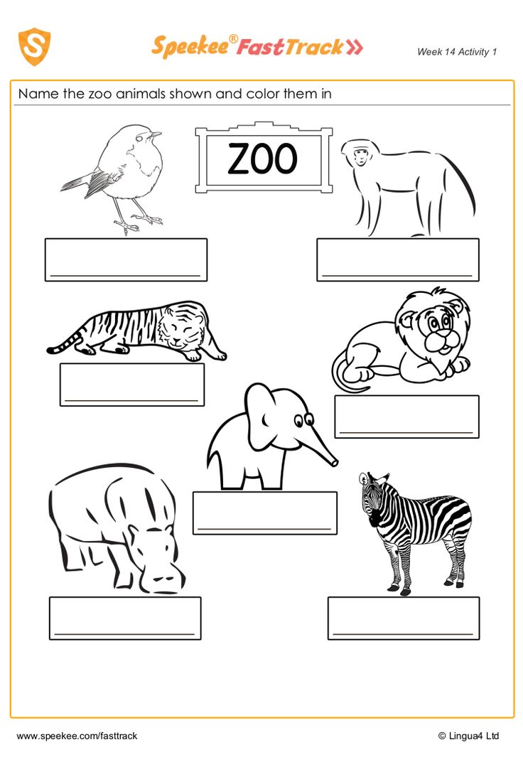 Discover the amazing animals of a spanish zoo