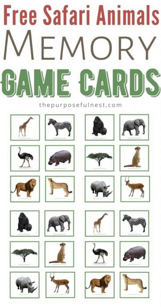 Free printable safari animal matching cards