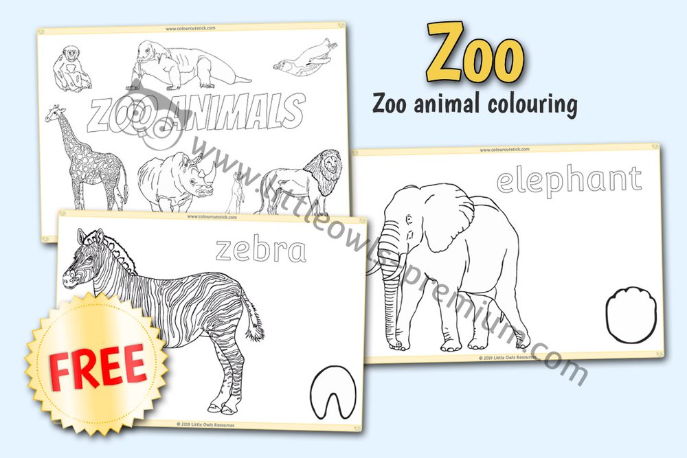Free and premium zoo animals early years eyfs editable printable resources activities â little owls resources