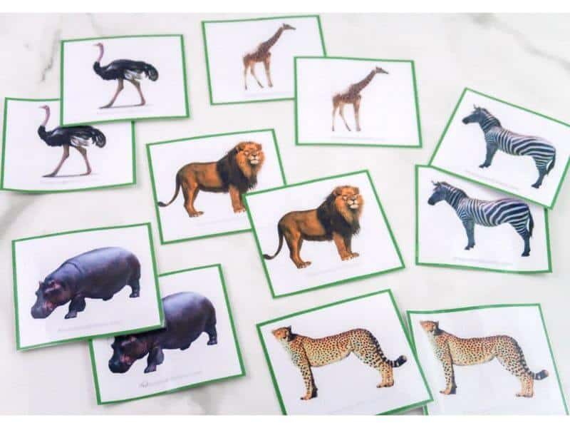 Free printable safari animal matching cards