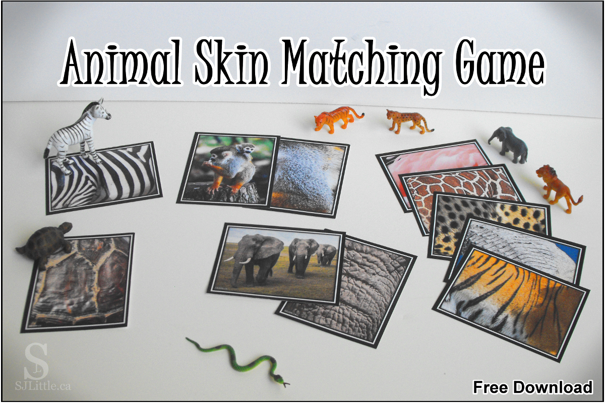 Animal skin matching game