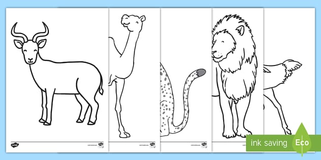 Zoo animal outlines louring sheets resources