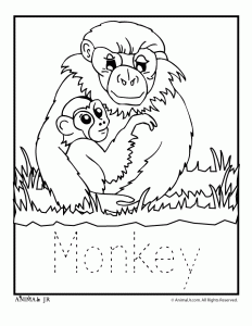 Zoo animal coloring pages with letter writing practice