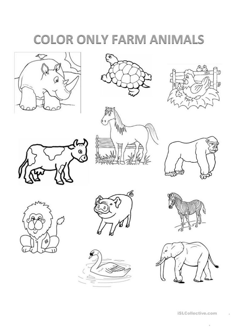 Farm sheets animal worksheets preschool coloring pages farm animals
