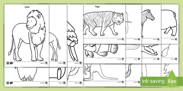 Zoo colouring pages junior and senior infants