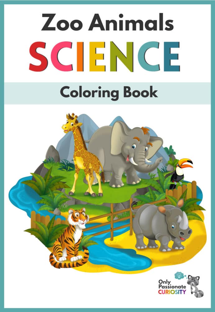 Zoo animals coloring book