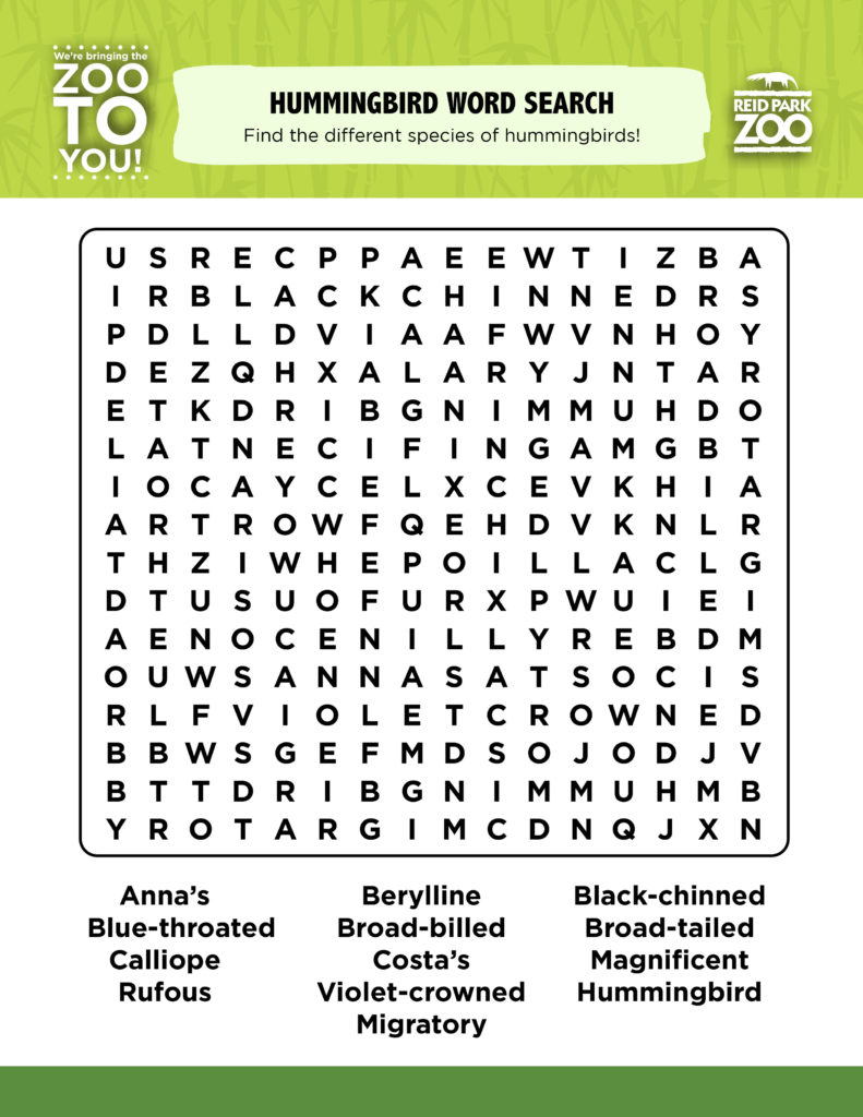 Activity pages migratory bird day word search coloring page reid park zoo