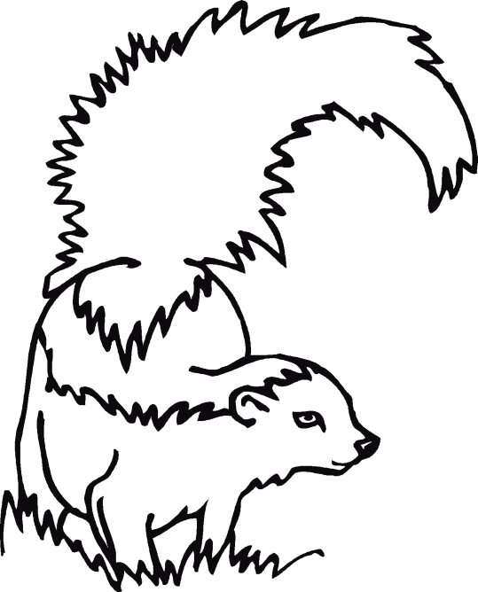 Zorrillos dibujos para colorear