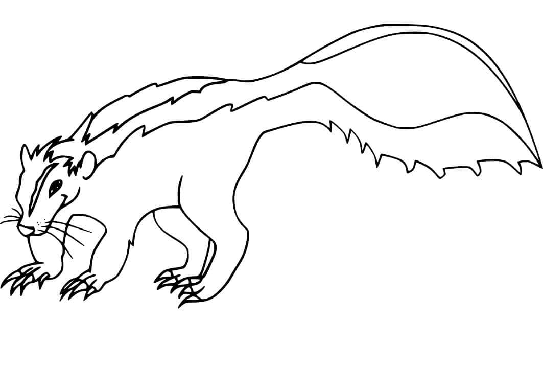 Zorrillo impresionante para colorear imprimir e dibujar â