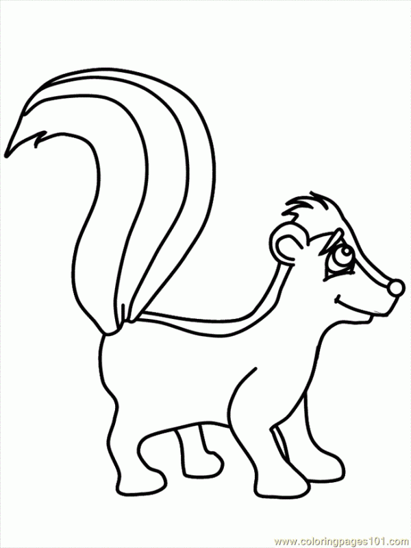 Imãgenes de zorrillos para colorear colorear imãgenes