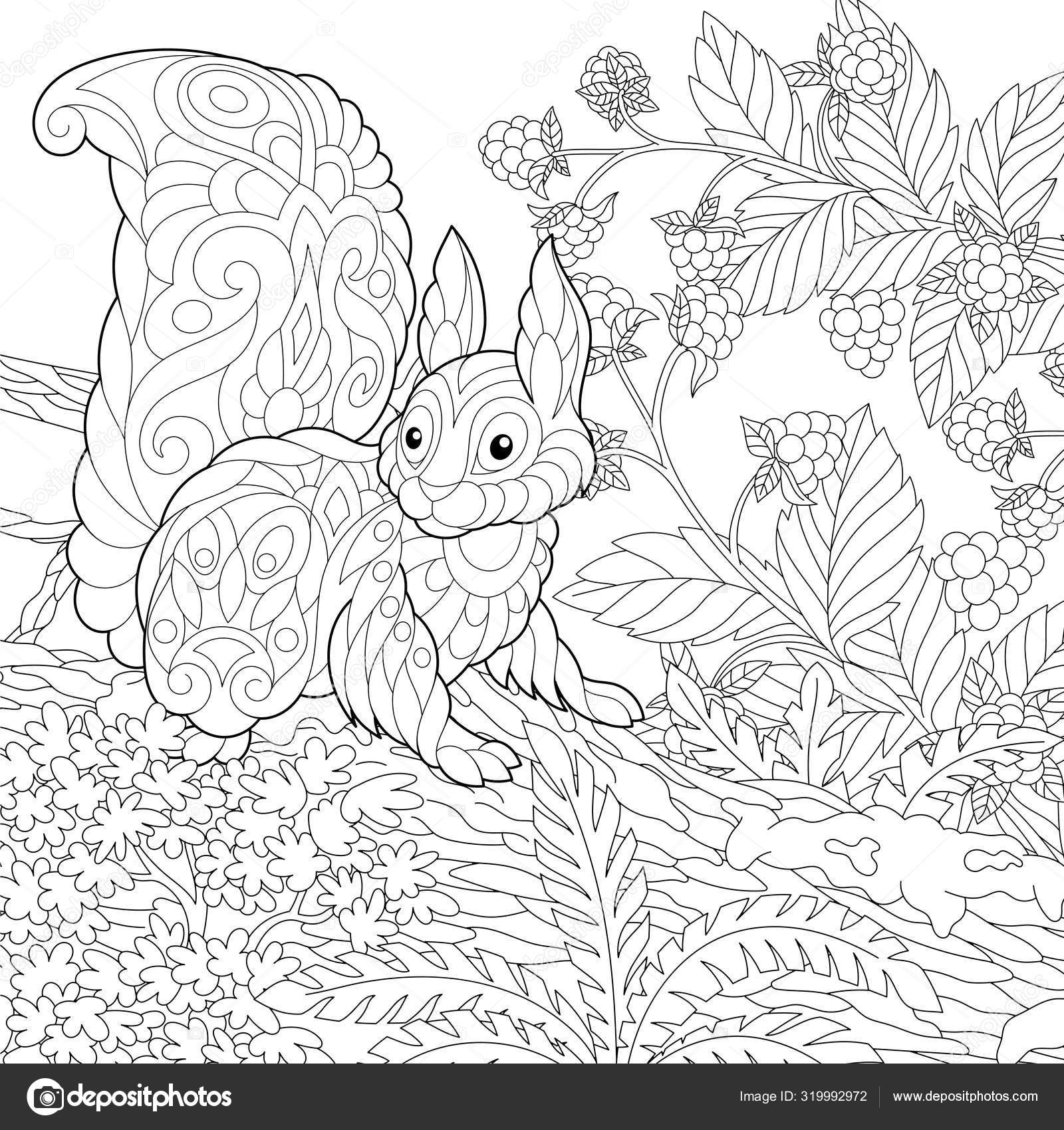 Pãgina para colorear con linda ardilla en el bosque vector de stock por sybirko