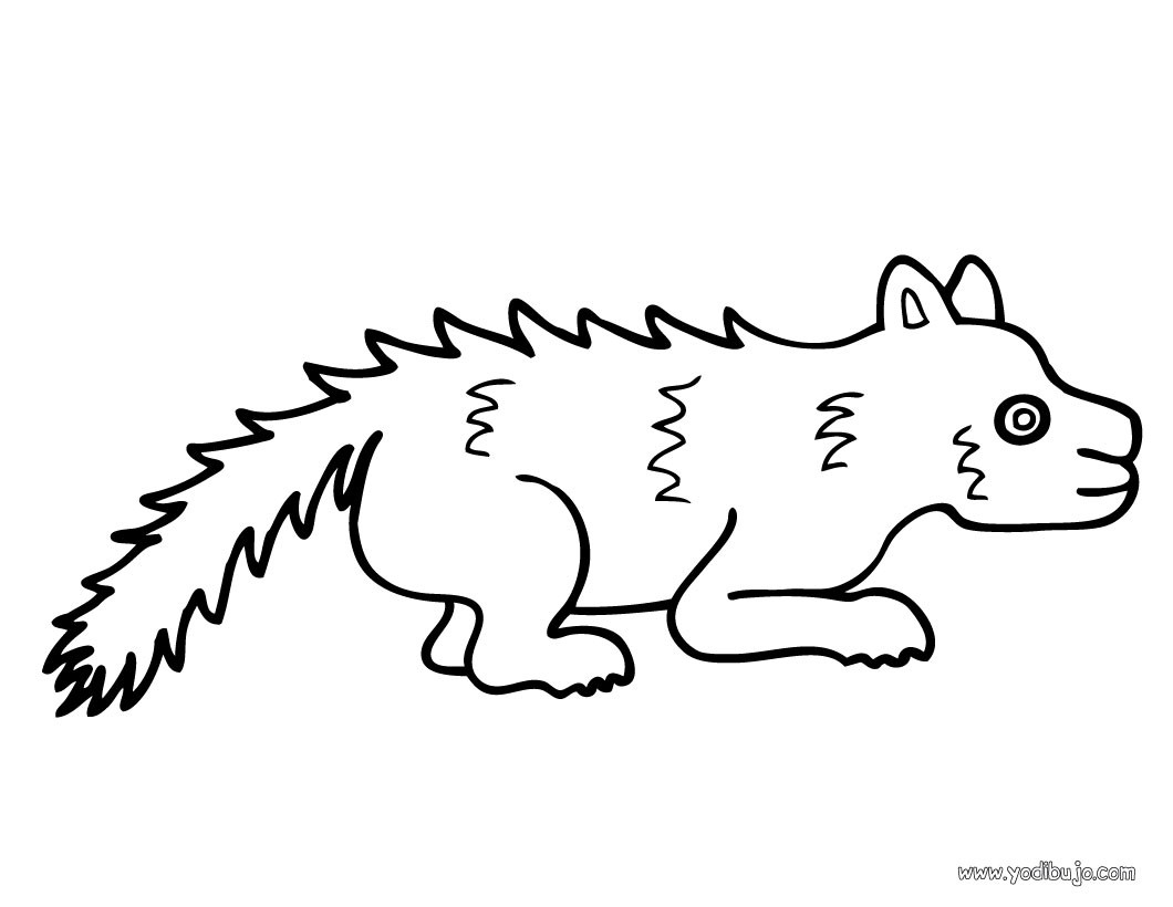 Dibujos para colorear un zorrillo