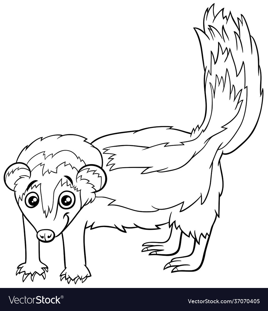 Cartoon zorilla ic animal character coloring vector image