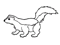Skunks coloring pages