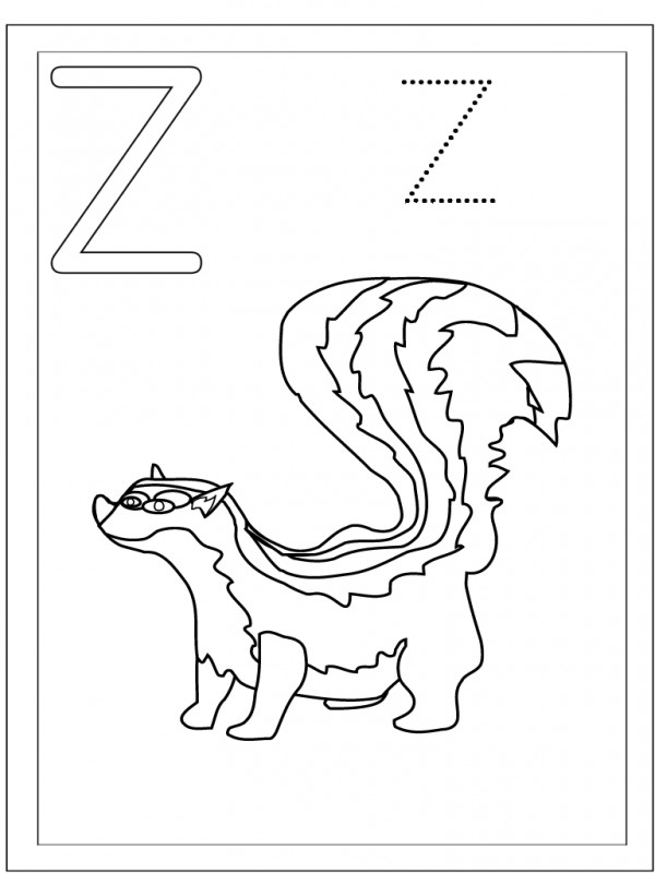 Imãgenes de zorrillos para colorear colorear imãgenes