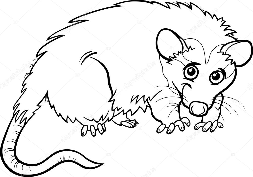 Opossum animal cartoon coloring book stock vector by izakowski