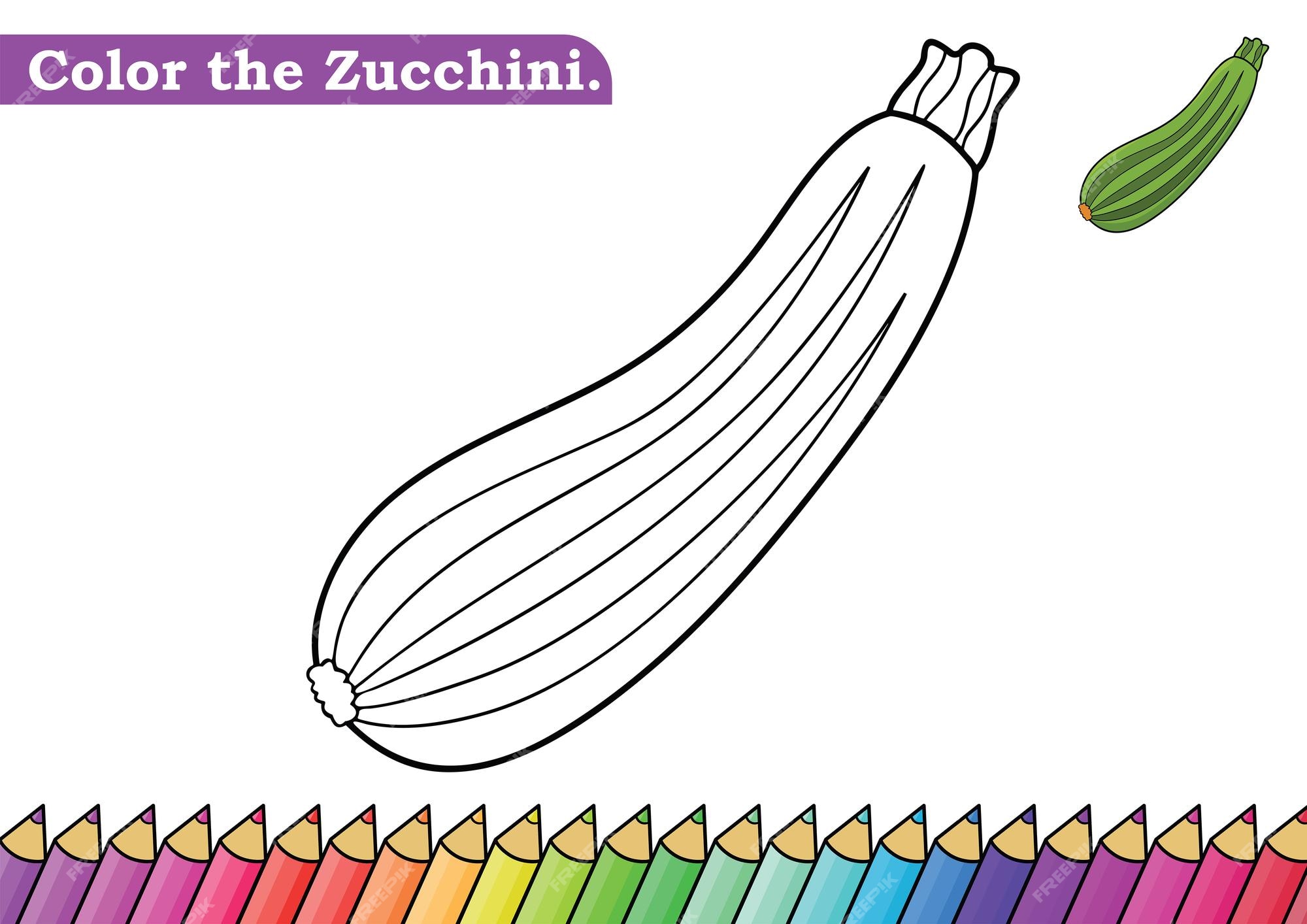 Premium vector cute coloring for kids with zucchini picture vector illustration of coloring book page lets color