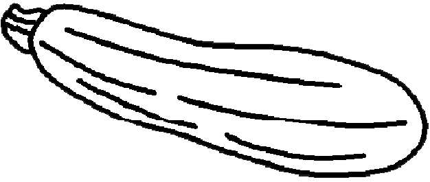 Zucchini coloring pages