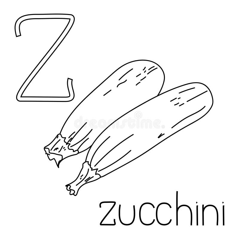 Zucchini coloring stock illustrations â zucchini coloring stock illustrations vectors clipart