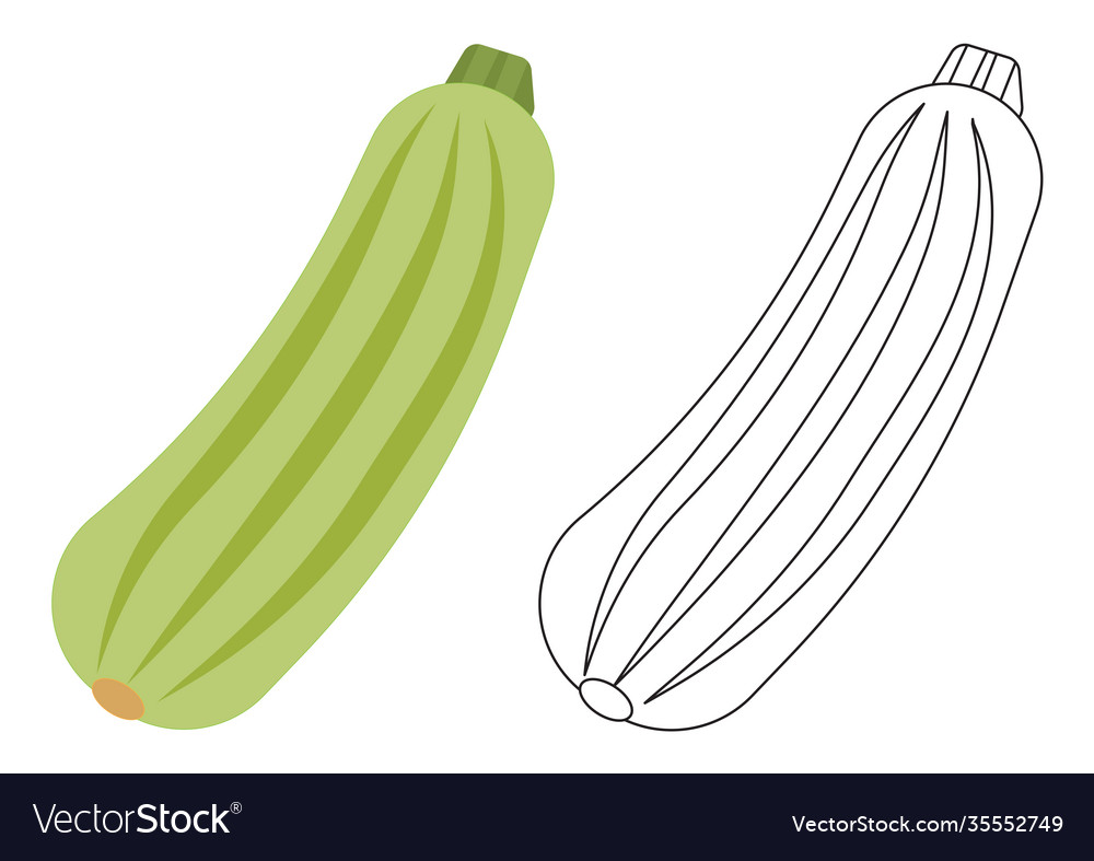 Zucchini vegetable cartoon coloring page game vector image