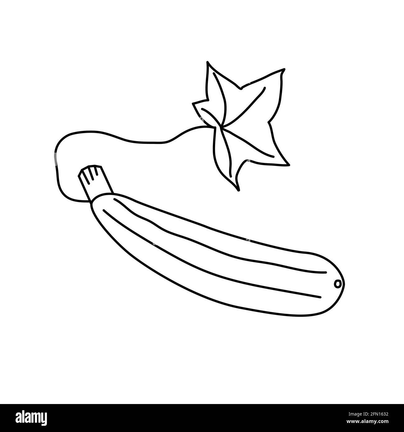 Zucchini vegetable cartoon coloring book hi