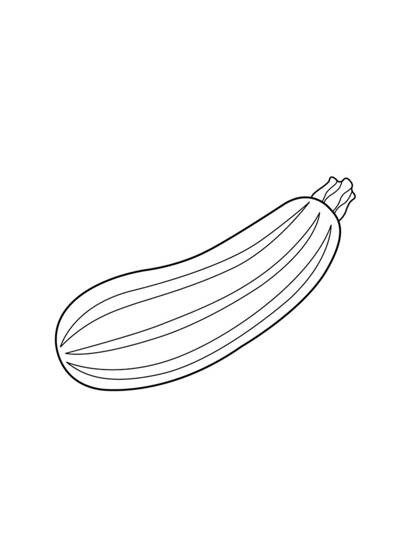 Squash coloring pages