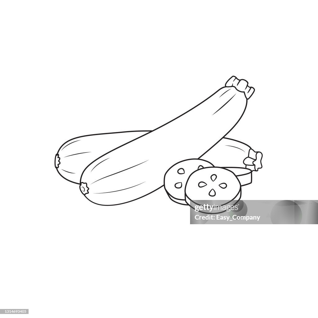 Vector illustration of zucchini isolated on white background organic vegetables and fruits cartoon concepts education and school kids coloring page printable activity worksheet flashcard high