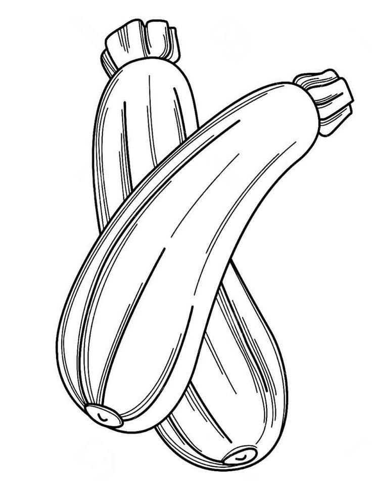 Zucchini coloring pages fruit coloring pages vegetable coloring pages coloring pages