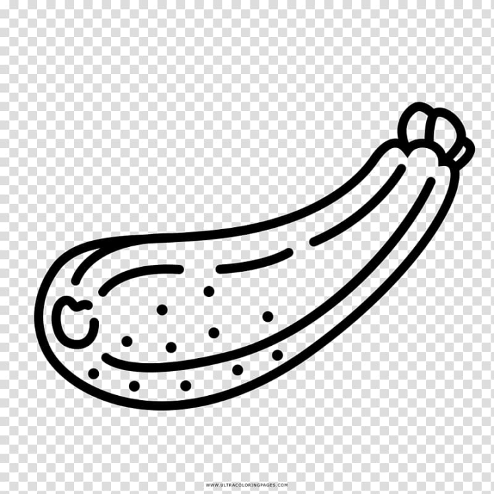 Free zuhini drawing coloring book summer squash vegetable vegetable transparent background png clipart