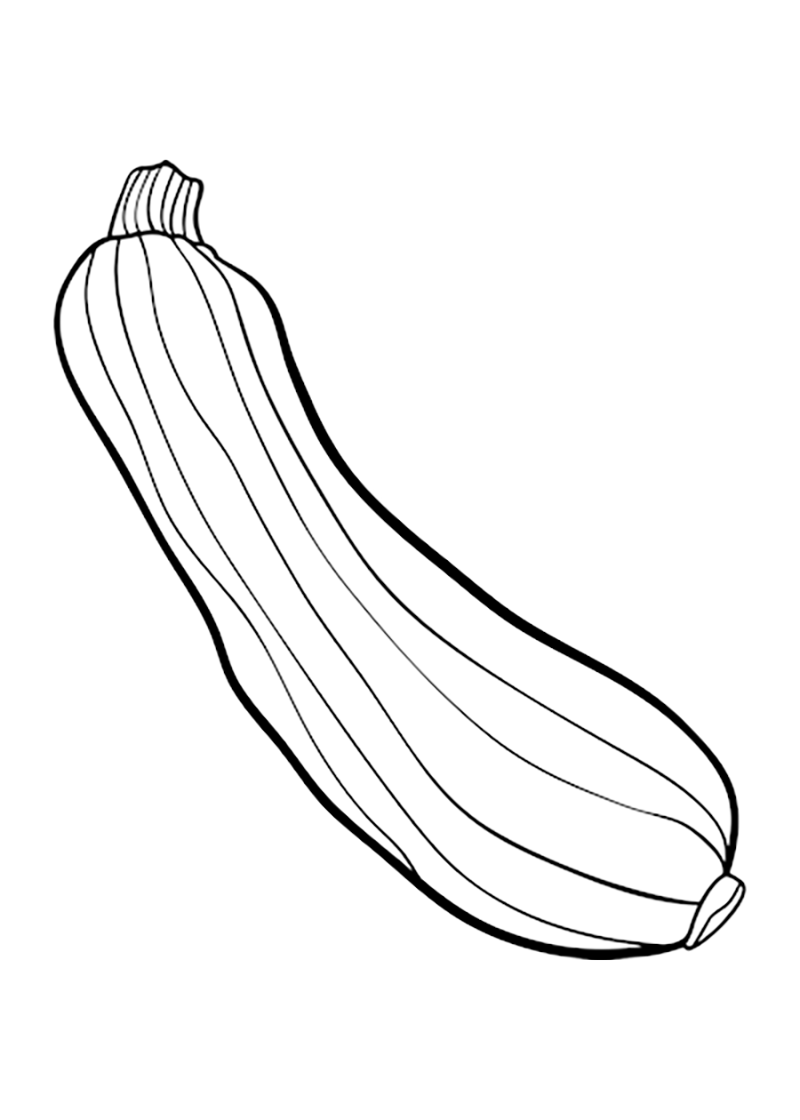 Zucchini coloring pages