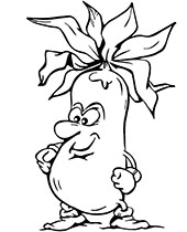Zucchini printable coloring page vegetable
