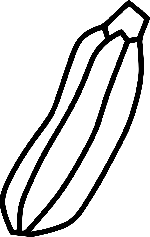 Zucchini coloring pages